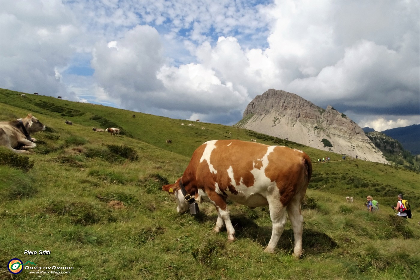 37 Da sfondo il Monte Castellazzo  che saliamo ora.JPG